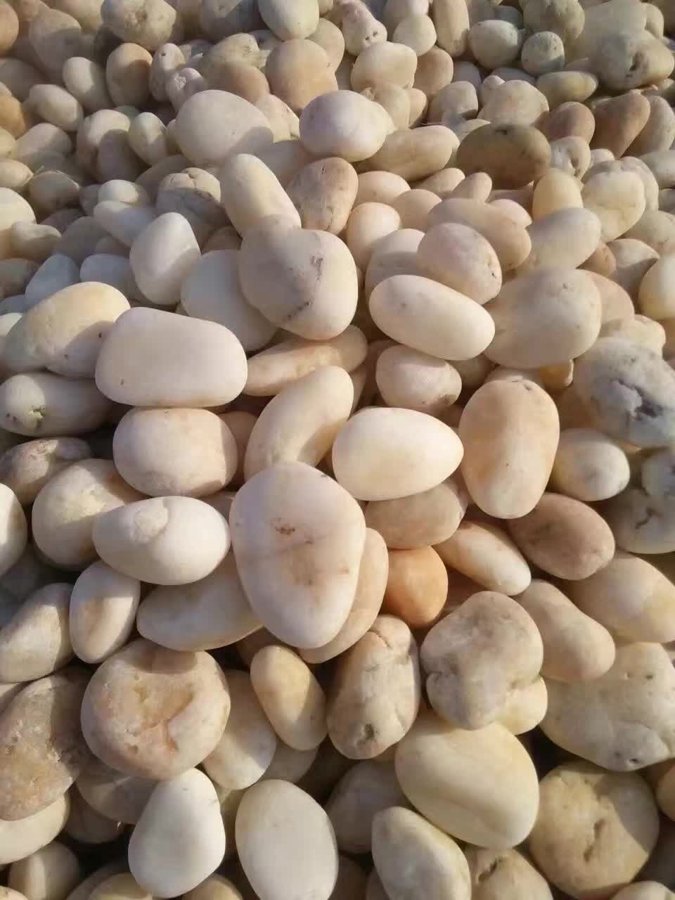 案例