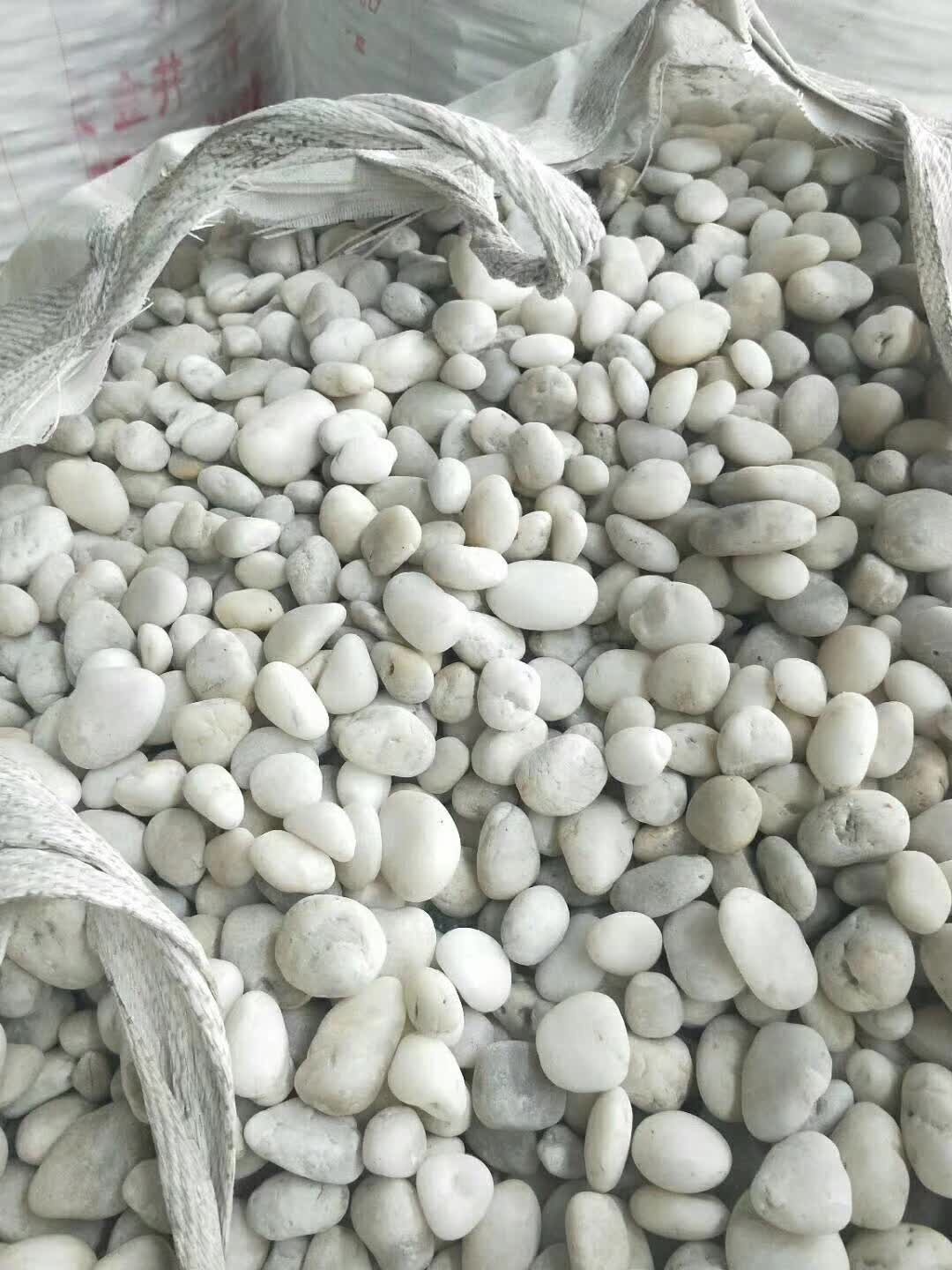案例