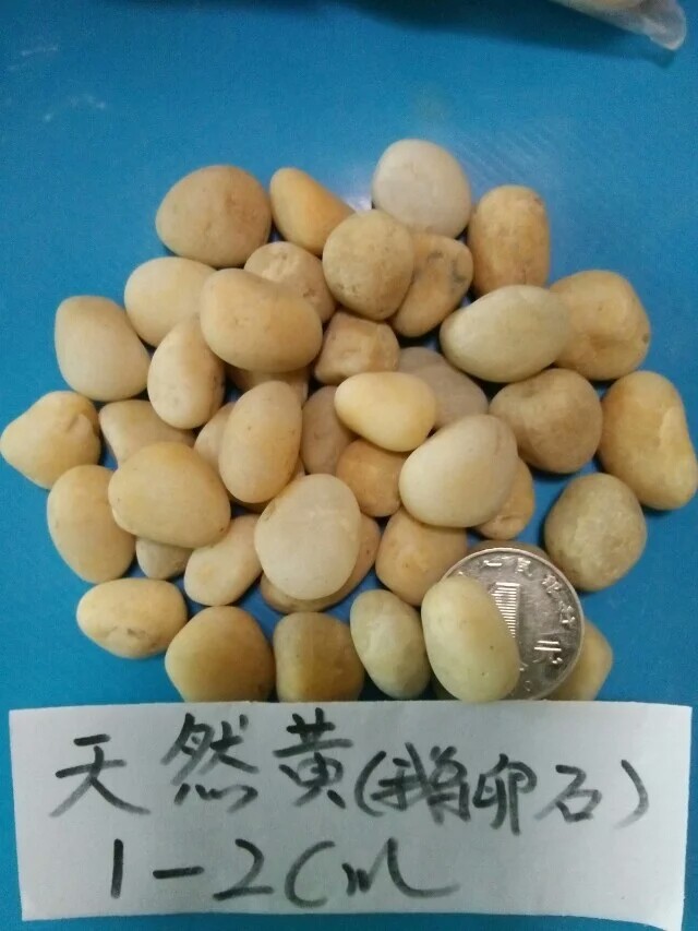 黃色鵝卵石